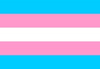 Transgenderflag.jpg